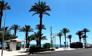 ulica z palmami na plaży w obiekcie Estudio Playa del Cura w mieście Torrevieja