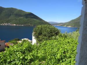 a view of a lake from a castle at Apartments Jovanović in Perast