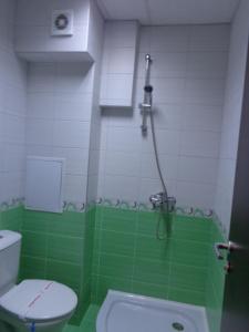 a green and white bathroom with a toilet and a shower at Къща за гости А. Б. В. in Nesebar +24 photos