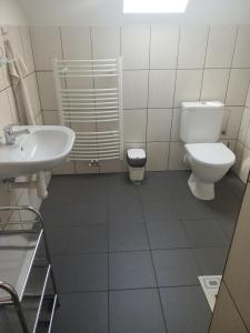 uma casa de banho com um WC e um lavatório em Penzion Na Podlesí ve Zlaté Koruně em Zlatá Koruna
