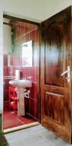 een badkamer met een wastafel en rode betegelde muren bij Odmaralište Vlaško ždrelo in Pirot