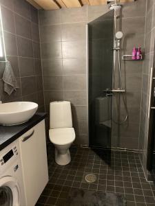 W łazience znajduje się toaleta, umywalka i prysznic. w obiekcie Revontuli 6 w mieście Syöte