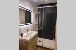 bagno con lavandino e doccia di Appartement 3 chambres, 3 salles d'eau a Saint-Herblain
