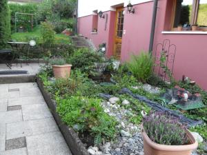 un jardín frente a una casa rosa con plantas en bed&breakfast in Flüh, en Hofstetten-Flüh