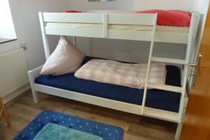 a bunk bed with a blue mattress and a ladder at Ferienwohnung Hügelhaus in Plütscheid