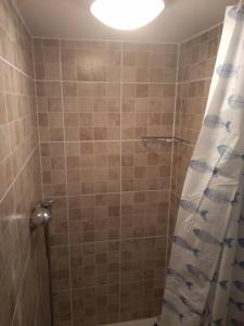 a bathroom with a shower with a shower curtain at Twins House - Dorka Apartman in Bogács