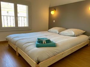 Кровать или кровати в номере Appartement Prox Lycée Arago