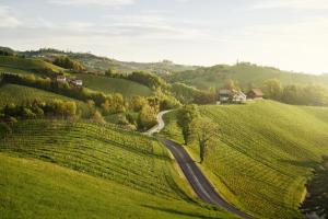 a road in the middle of a green field at Landgut am Pößnitzberg in Leutschach
