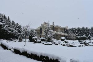 Villa in Elassona-Βίλα στην Ελασσόνα v zimě
