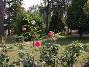 Vonkajšia záhrada v ubytovaní Villa Oasi