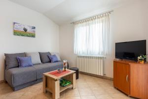 een woonkamer met een bank en een tv bij Villa Mirela with a comfortable garden and pool in Grandići