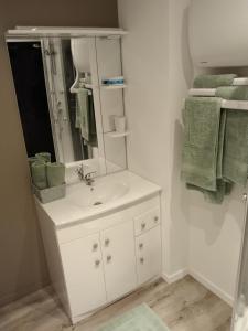 uma casa de banho com um lavatório branco e um espelho. em Lou calado em Fayence