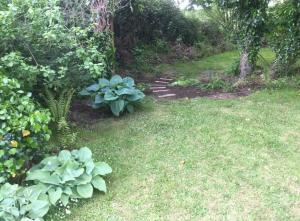 un giardino con alcune piante e un sentiero di Ballyrider House Beautiful Triple Suite a Inch Cross Roads