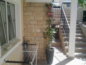 Fotografie z fotogalerie ubytování Apartment Mile v Šibeniku