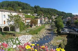 a river in a town with buildings and flowers at Bel Appartement 40 M2 sans linge de lit et de toilette in Vals-les-Bains
