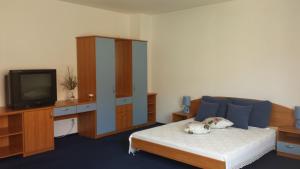 a living room with a bed and a tv at Villa Diana in Sozopol