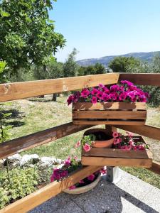 Zahrada ubytování Osteria B&B Il Rifugio