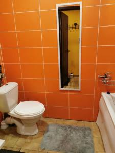 ein orangefarbenes Bad mit einem WC und einem Spiegel in der Unterkunft Laisvės 10 in Telšiai