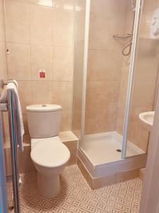 a bathroom with a toilet and a shower at The Hand Hotel in Chirk