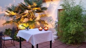 Zahrada ubytování Hotel Saint-Hubert