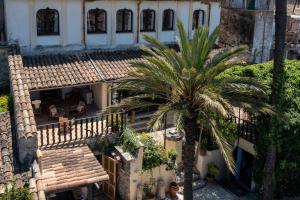 an aerial view of a house with a palm tree at León de Sineu in Sineu