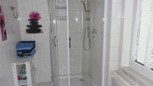 a bathroom with a shower with a glass door at Ferienwohnung-zur-Eselsbruecke in Rathmannsdorf +13 photos