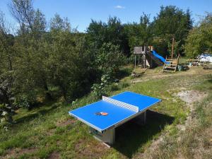 a blue ping pong table sitting in the grass at Ferienwohnung-zur-Eselsbruecke in Rathmannsdorf