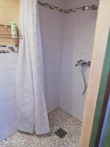 W łazience znajduje się prysznic z białą zasłoną prysznicową. w obiekcie Sonnenhof Muldental w mieście Colditz