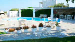 a patio with chairs and a pool with a bunch of plants at Hotel Anezina in Drios
