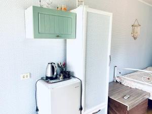 a kitchen with a refrigerator and a green cabinet at частный дом У Федотовича in Odesa +20 photos