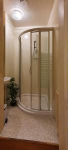 a shower with a glass door in a bathroom at Cosy and Modern Apartment in Central Edinburgh in Edinburgh