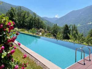 a swimming pool with mountains in the background at VILLA COLLINA VERDE in Bolzano