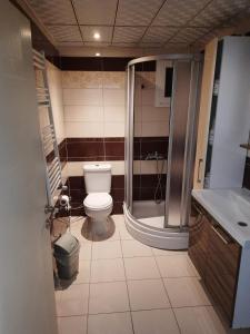 a bathroom with a toilet and a shower and a sink at ADA APART OTEL in Çanakkale