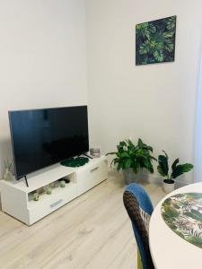 Televízia a/alebo spoločenská miestnosť v ubytovaní Apartament Walczaka 15 MIEJSCE PARKINGOWE