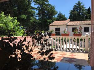 Zahrada ubytování Apartments Tereza