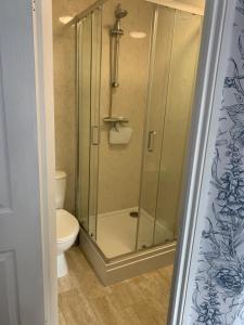 Vonios kambarys apgyvendinimo įstaigoje Crown Hotel