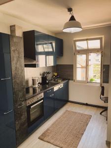 フリードリヒスハーフェンにあるFeWo Braustube Alte Brauerei Friedrichshafenの青いキャビネットと窓付きのキッチン +15枚の写真