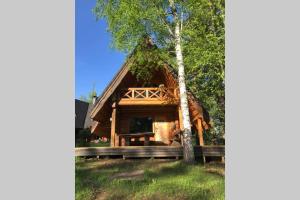 a cabin in the woods with a tree at Pirtsmāja Villa Marta in Cēsis