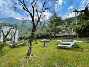 a group of benches in a field with a tree at Hotel Stella Alpina in Malcesine