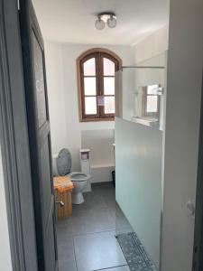 a bathroom with a toilet and a window at Appartement Bastia Centre in Bastia +7 photos