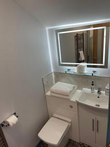 ein Badezimmer mit einem Waschbecken, einem WC und einem Spiegel in der Unterkunft Harbour View in Brixham