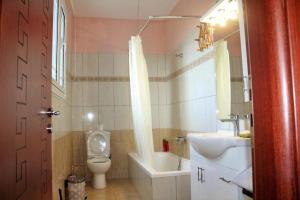 een kleine badkamer met een toilet en een wastafel bij Zeus and Hera Apartments in Nikiana