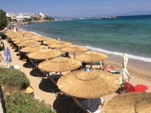 Φυσικό τοπίο κοντά σε αυτό το ξενοδοχείο