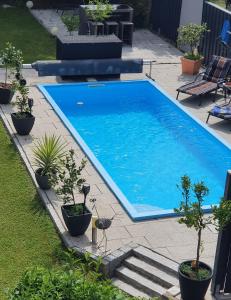 a large swimming pool with potted plants in a yard at Winzerhof & Weincafe Gümpelein in Willanzheim