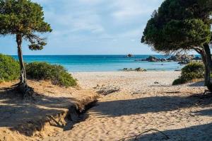 una playa de arena con dos árboles y el océano en Casa Fadda, en Villa San Pietro