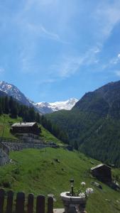 a view of a green field with mountains in the background at Chalet Clair de Lune bei Grächen VS in Gasenried
