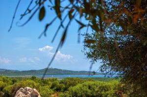 Fotografie z fotogalerie ubytování Massidda Country Retreat v destinaci Santa Teresa Gallura + 33 fotografií