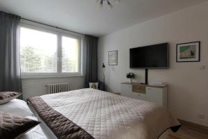 Televízia a/alebo spoločenská miestnosť v ubytovaní Apartmán Valérie, byt Valtice