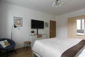Televízia a/alebo spoločenská miestnosť v ubytovaní Apartmán Valérie, byt Valtice