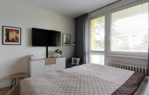 Televízia a/alebo spoločenská miestnosť v ubytovaní Apartmán Valérie, byt Valtice